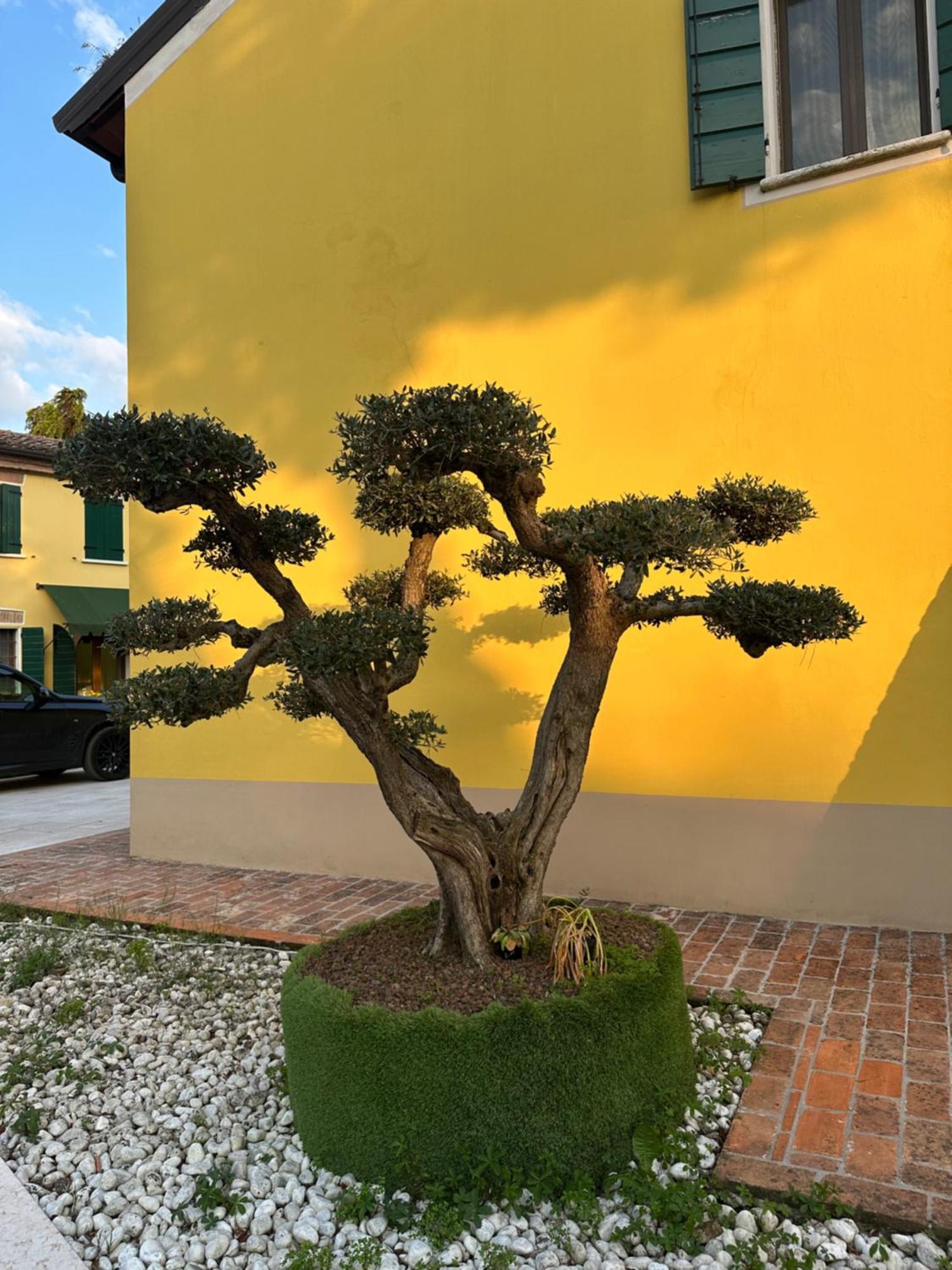 Corte Capiluppia Farm stay Curtatone
