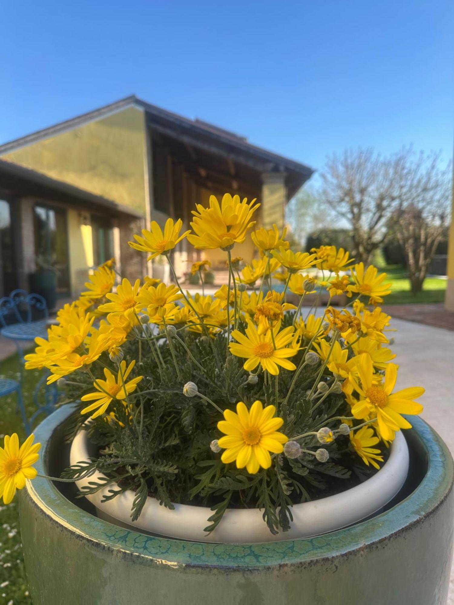 Farm stay Corte Capiluppia Curtatone
